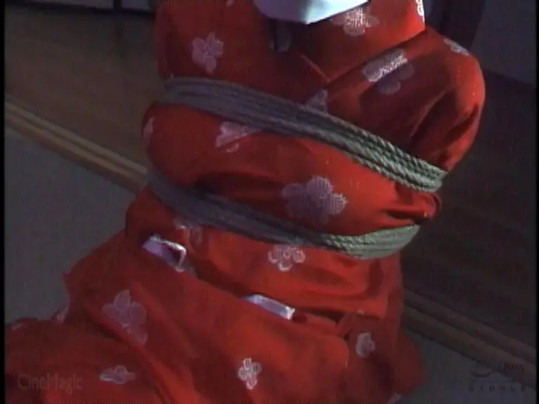 不朽のマドンナ 三枝美憂スーパーベスト 三枝美憂 (cma00125)-17