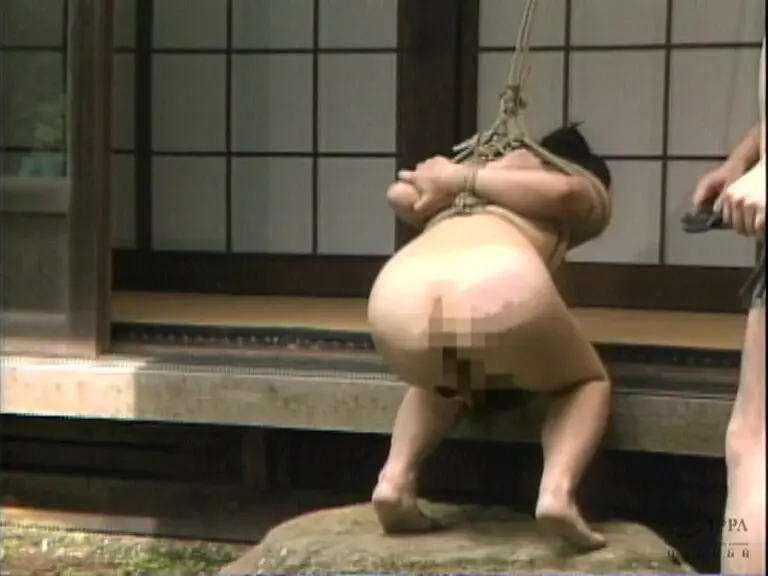 THE SPANKING 打擲の赤い刻印… 樹まり子 (cma00148)-6