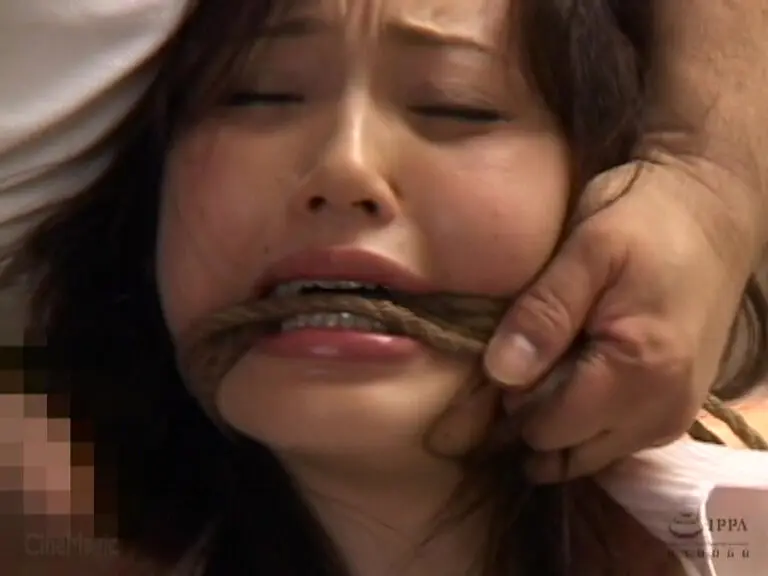 不朽のマドンナ 松野ゆいスーパーベスト 松野ゆい (cma00160)-7