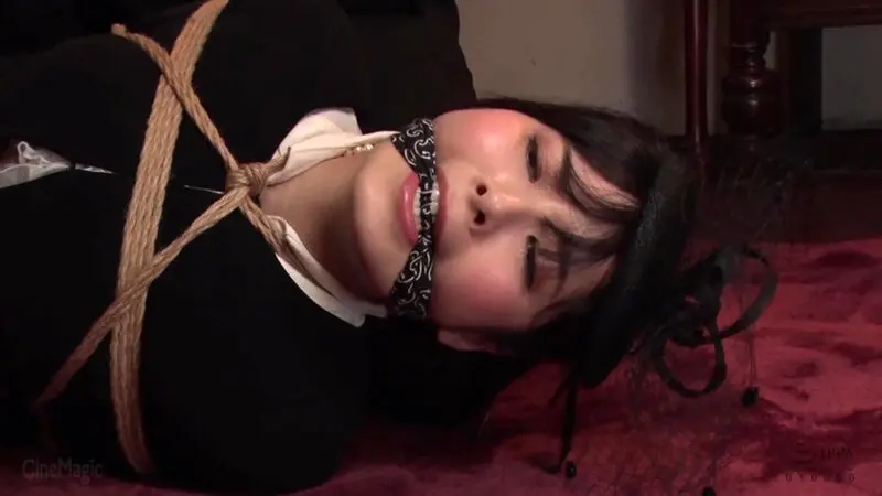 背徳未亡人美熟肉奴調教SPECIAL2 森下美緒 (cmc00338)-4