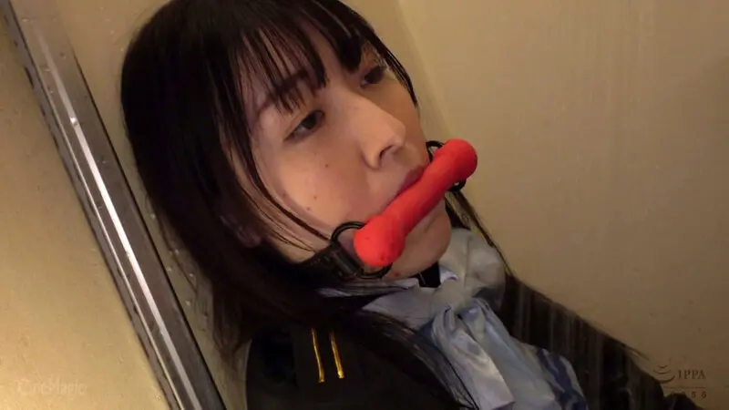 お仕置き客室乗務員 浣腸プライド破壊アナ… 月待青花 (cmf00095)-19