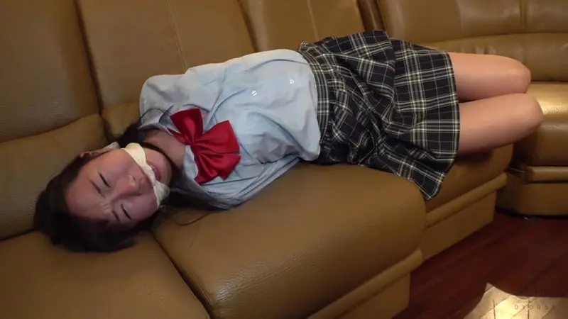 DID猿轡着衣拘束 パンティーの中にバイ… 須崎美羽 (cmv00162)-19