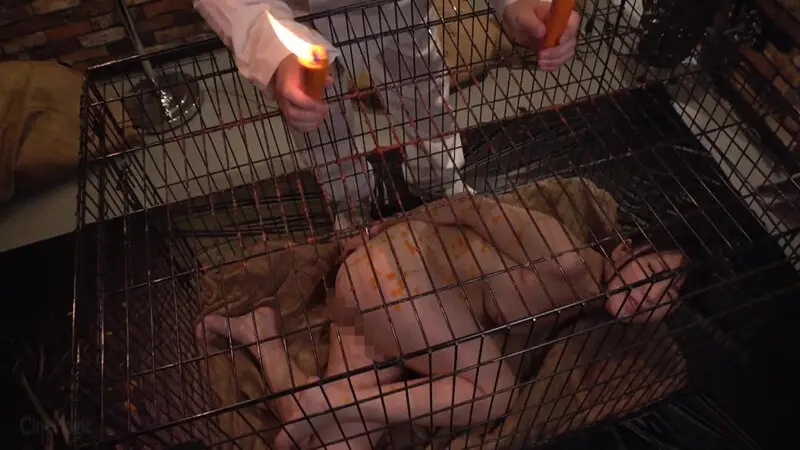 牝檻収監 肛交肉便器マゾ犬狩り… ゆうきすず (cmv00205)-2