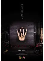 アイアンクリムゾン10… 西田カリナ dasd00326