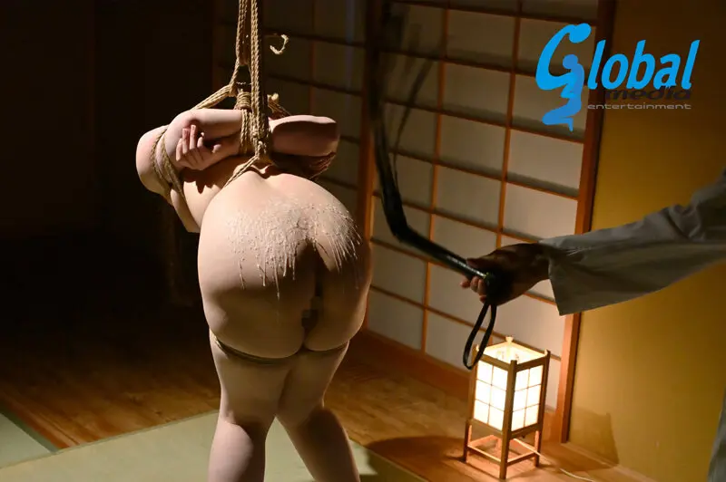 緊縛調教妻 病弱な妻が浮気した変態趣味の… 乃南ゆい (gma00087)-12