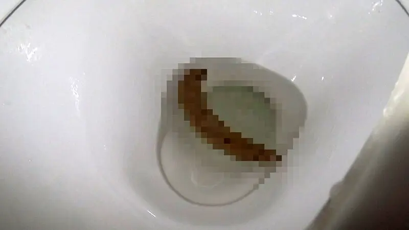SMマニア【変態ОL編】…  (h_019acz00062)-7