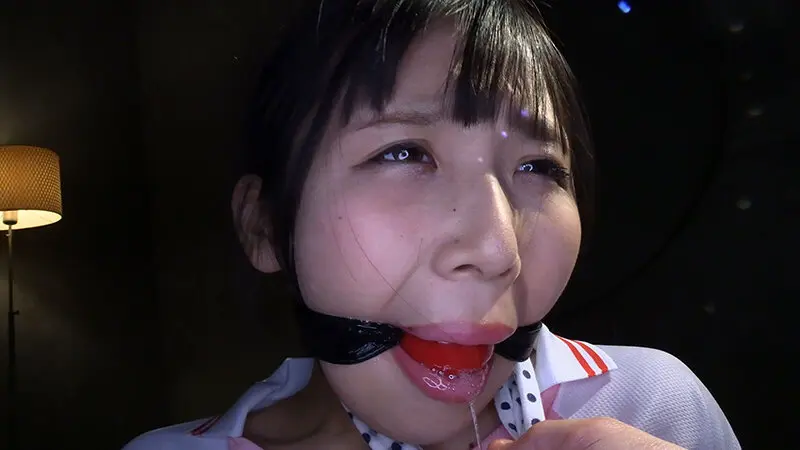 囚われの緊縛令嬢 DIDコレクション2 千石もなか (h_019aczd00200)-2