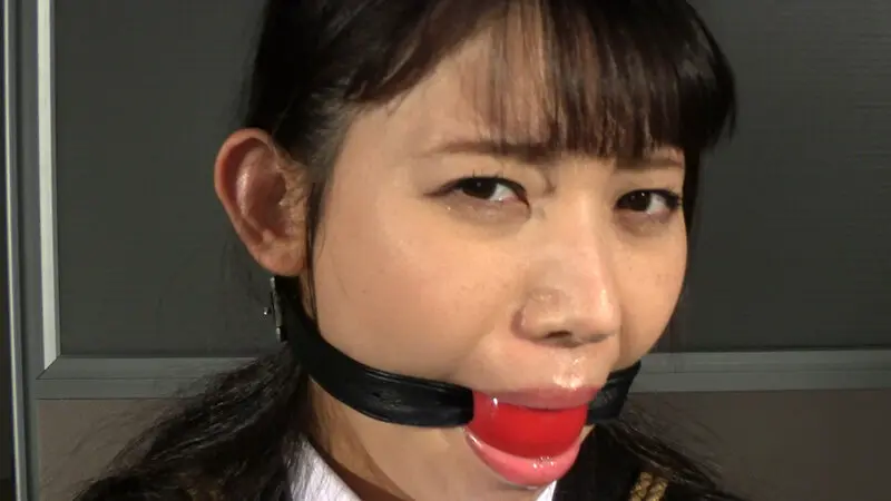 囚われの緊縛令嬢 DIDコレクション3 泉りおん (h_019aczd00224)-15