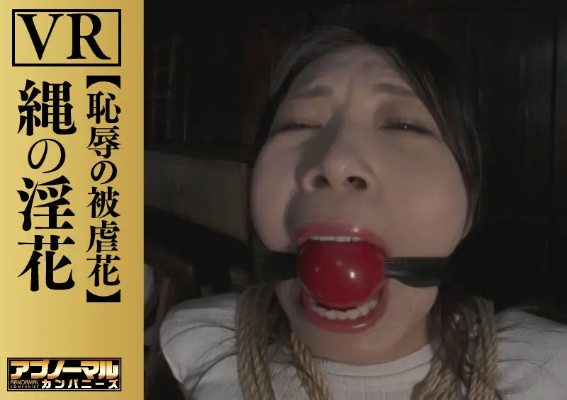 【VR】縄の淫花VR 恥辱の被虐花… 小宮山亜依 (h_019aczvr00001)-8