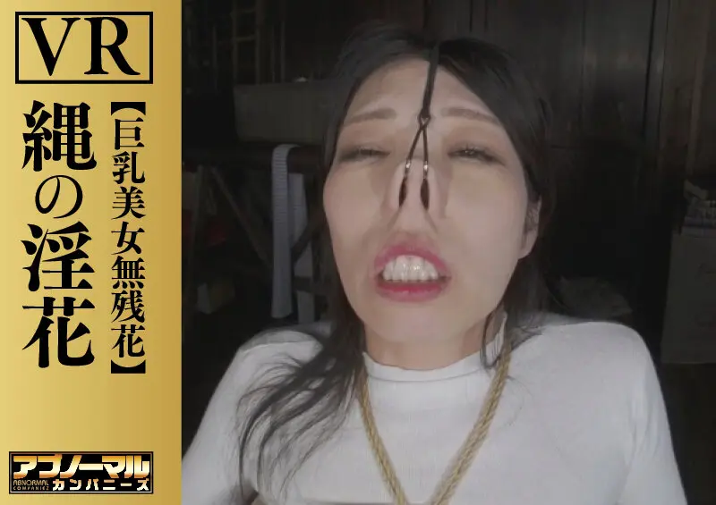 【VR】縄の淫花VR 巨乳美女無残花… 小宮山亜依 (h_019aczvr00002)-2