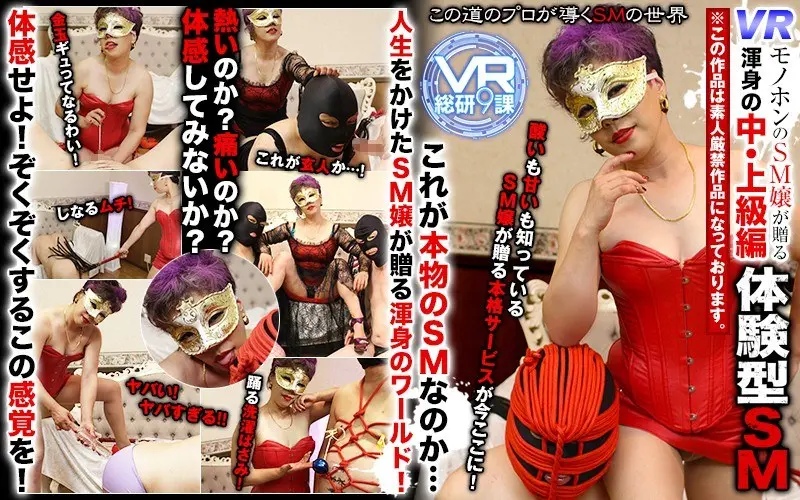 【VR】VR モノホンのSM嬢が贈る体感… (h_1337wvr90013)-表紙