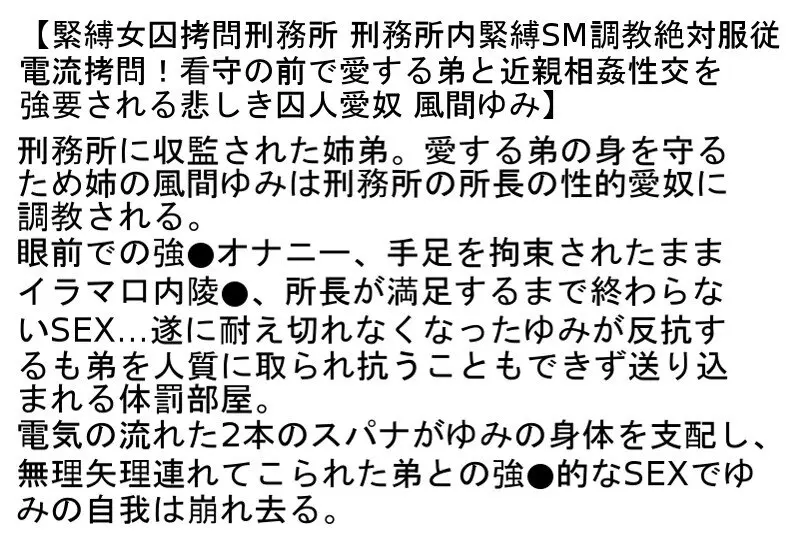 【お得セット】緊縛女囚拷問刑務所・2・4 風間ゆみ (stcetd00087)-2